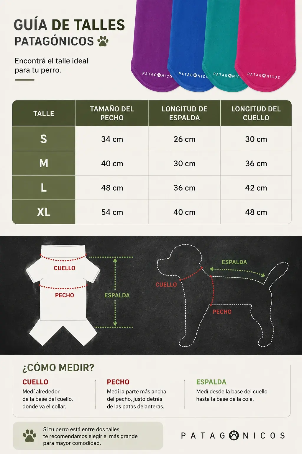 Polar Soft para Perros con Argolla para Correa Info 1