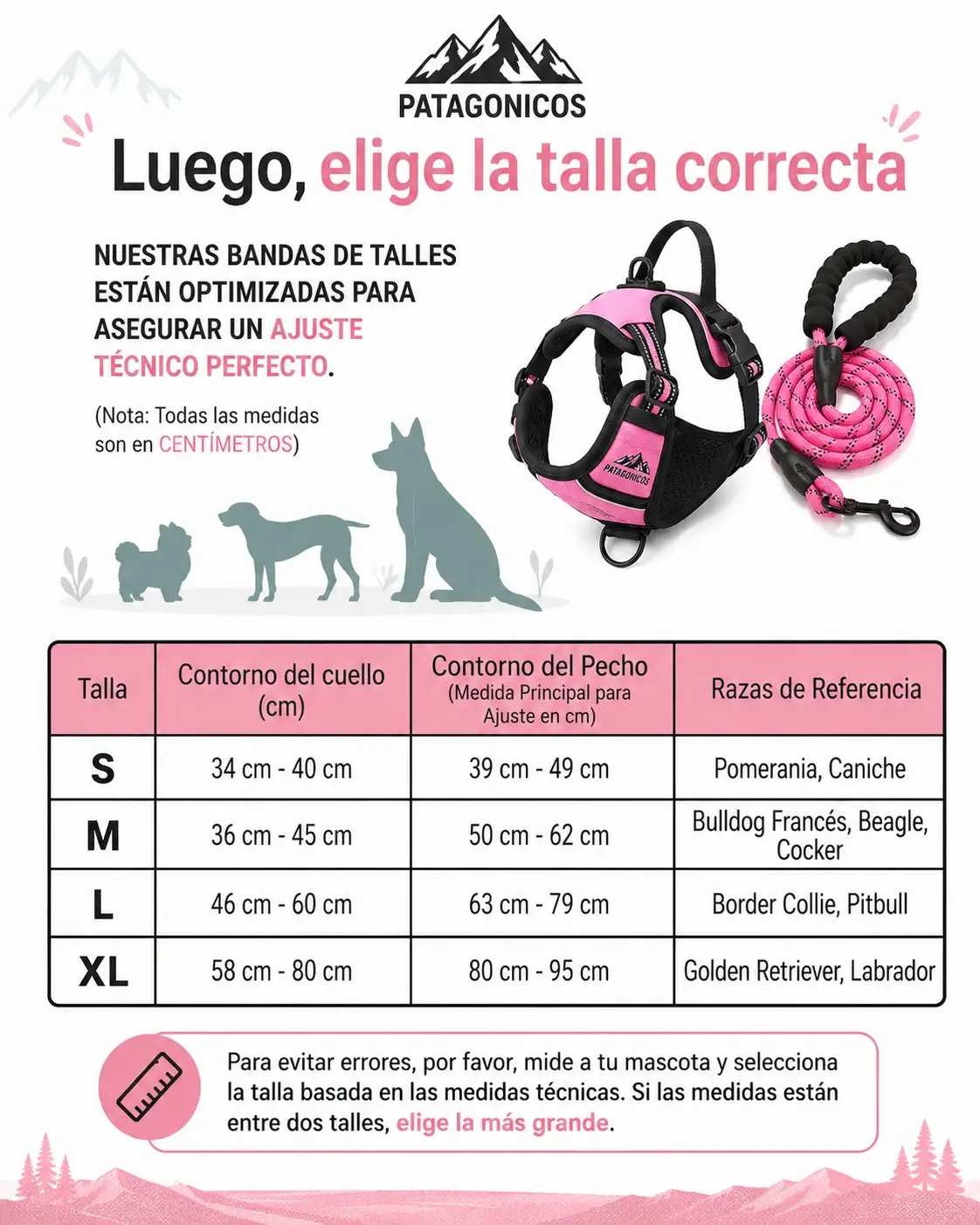PECHERA ANTI-TIRONES REGULABLE + CORREA Info 1