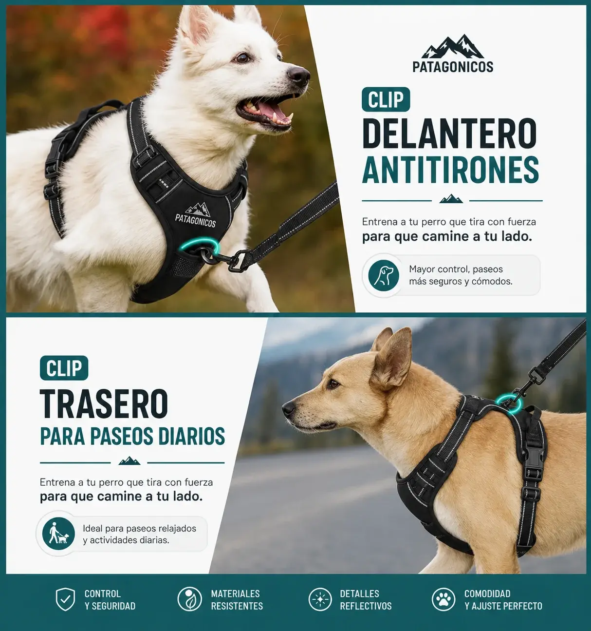PECHERA ANTI-TIRONES REGULABLE + CORREA Info 1