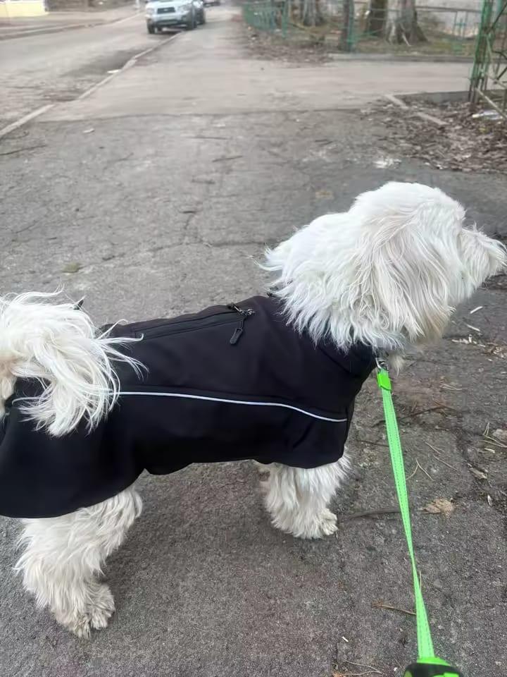 Claudia reseña