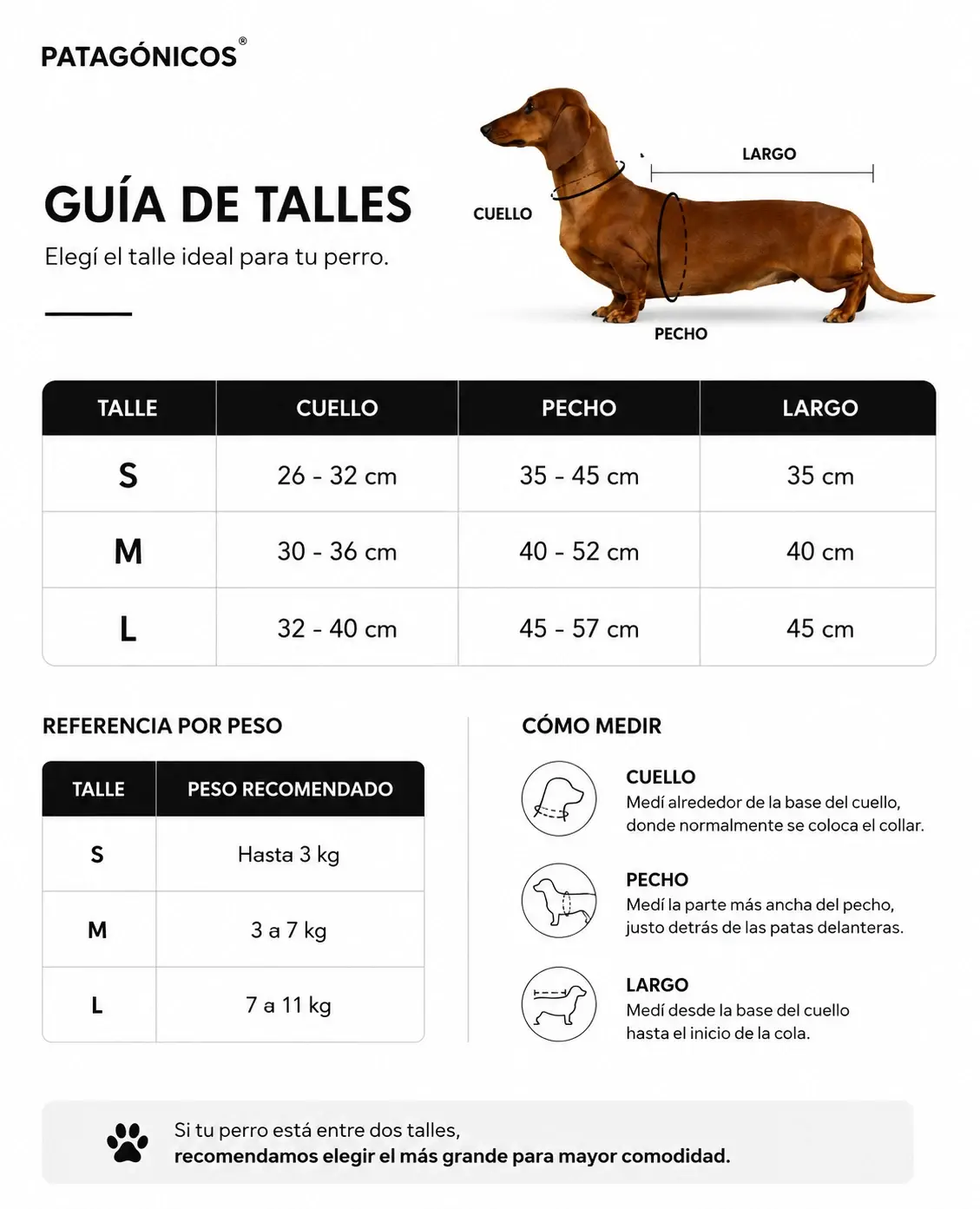 CAMPERA ACOLCHADA PERROS CHICOS Info 2